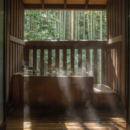 Fuefukigawa Onsen Zabou