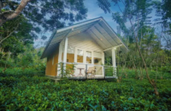 Ilukketiya Tea Chalets