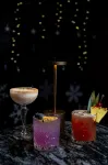 桑德貝德爾塔酒店 - 酒吧