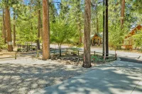 Lily's Bear Cabin #2544