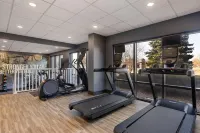 Hampton Inn and Suites by Hilton Windsor - Gym