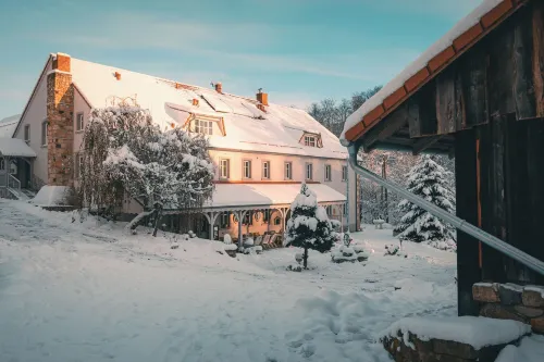 Turkusowa Wyspa - Alloggi