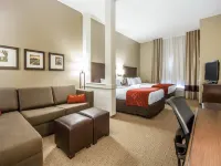 Comfort Suites Marietta-Parkersburg Hotels in Marietta