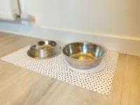 Tanzanite Ground Floor 2BR Apart Pet Friendly