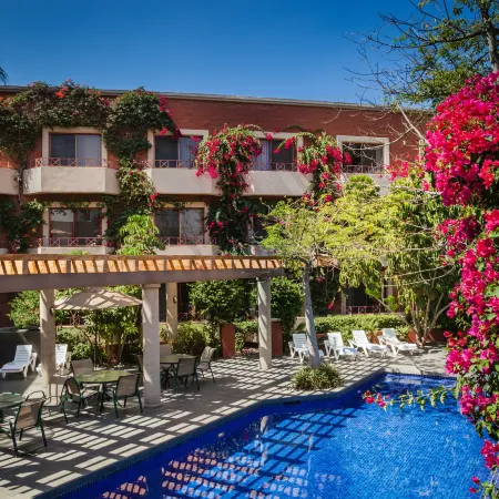 Gamma Tijuana