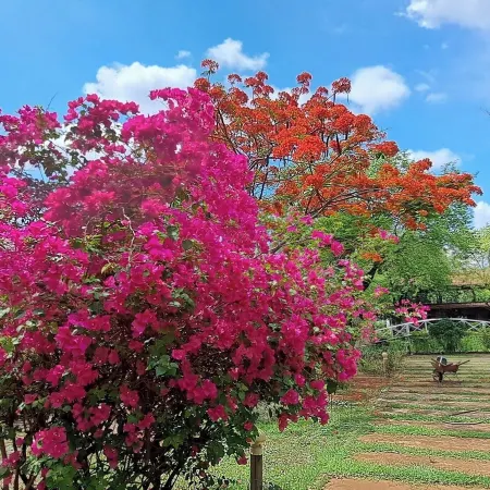 Xuanmai Garden Resort