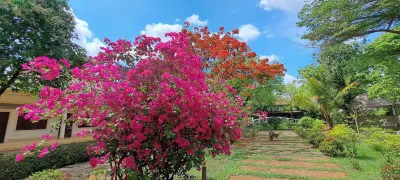 Xuanmai Garden Resort Hotels in 