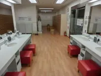Hotel Diasmont Niigatanishi - Hot Springs