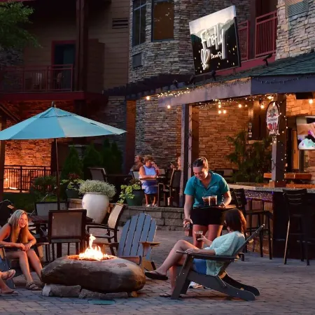 Wilderness at the Smokies – River Lodge Suites Отели в г. Севьервилл
