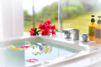 Wisteria Ocean Nakijin -  Holiday Villas