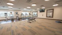Holiday Inn Express & Suites DRIPPING SPRINGS - AUSTIN AREA by IHG - Gym