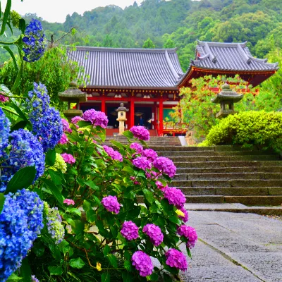 門前宿 和空 法隆寺 西ノ京地区周辺のホテル