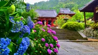 和空法隆寺寺廟鎮酒店 - 4星級