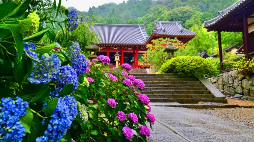 Temple Town Hotel Waqoo Horyuji - parcheggio