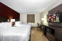 歐佩萊卡紅屋頂普拉斯套房旅館 - Wi-Fi