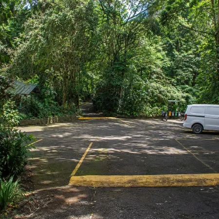 Jaguarundi Jungle Lodge - Monteverde