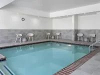 Hilton Garden Inn Indianapolis Northeast/Fishers - Pools