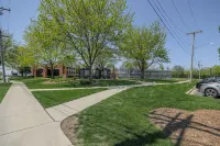 Comfy One Bed Apartment in Forest Park - Apartments