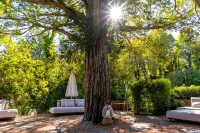 Swiss Historic & Garten Hotel Villa Carona - Spa