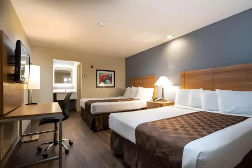 SureStay Hotel by Best Western Fairfield Napa Valley - Cho phép mang theo thú cưng