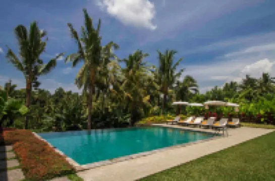 ぺルティウィ ビスマ 1