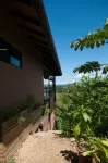 Drake Bay Greenleaf Hotels in Bahia drake