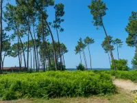 Les Cottages du Lac T4