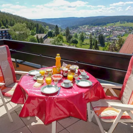 Schwarzwaldblick