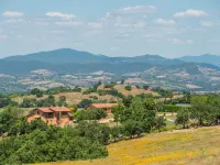Ginestra