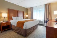 Comfort Inn & Suites Wilkes Barre - Arena Hotels in Luzerne County