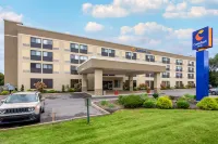 Comfort Inn Binghamton I-81 - Pools