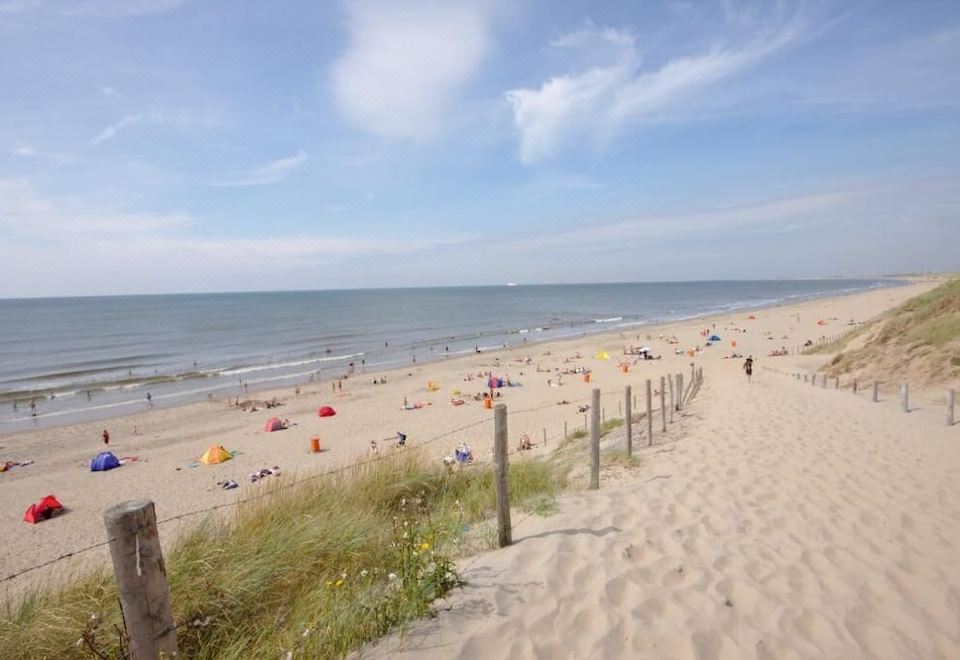 a crowded beach with people enjoying their time on the sandy shore under a clear blue sky at Mr Lewis Zandvoort