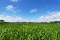 Wando Rehouse Pension