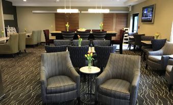 Holiday Inn Express & Suites ST. Paul - Woodbury