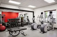 Hilton Garden Inn Providence Airport/Warwick - Gym