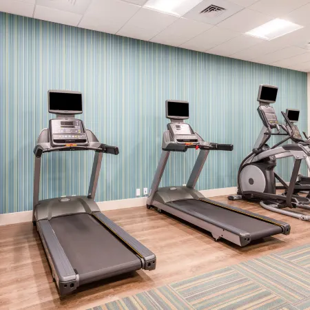 Holiday Inn Express & Suites OTTAWA by IHG