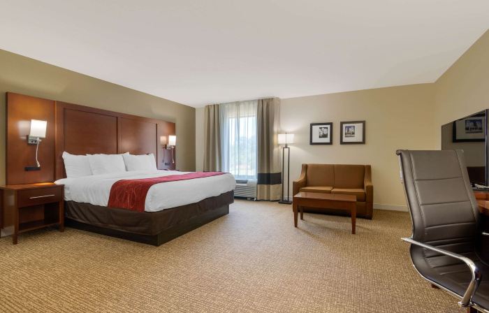 Comfort Inn & Suites Macon West