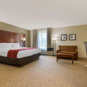 Comfort Inn & Suites Macon West