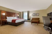Comfort Inn & Suites Macon West