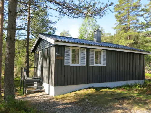 Trygvebu - Pet friendly