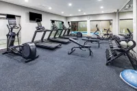 Holiday Inn Express & Suites HOUSTON SW - ROSENBERG by IHG - Gym