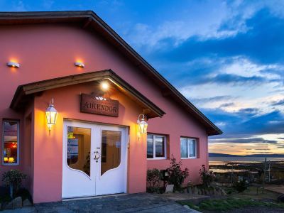 Aikendor Hotel Panorámico