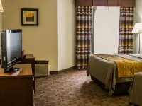 Comfort Inn Hotels in Saginaw County