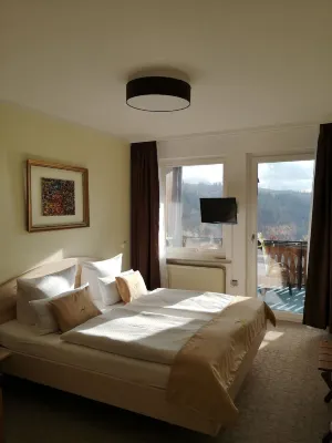 Pension Talblick Bad Grund Hotels near Lidl