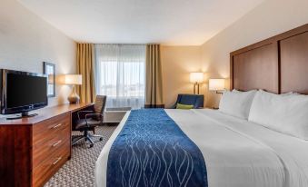 Comfort Inn & Suites Near Route 66 Award Winning Gold Hotel 2021