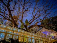 シノ ハウス プーケット ホテル