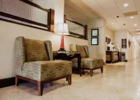 Hampton Inn by Hilton Torreon-Airport Galerias