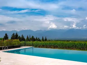 Vazisubani Estate