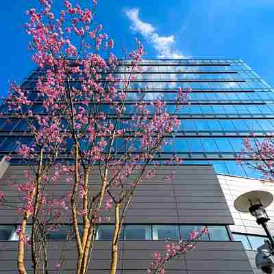 Daiwa Roynet Hotel Hiroshima-Ekimae Hotel Exterior