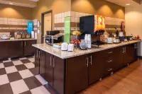 Hampton Inn San Antonio Stone Oak - Kæledyr tilladt